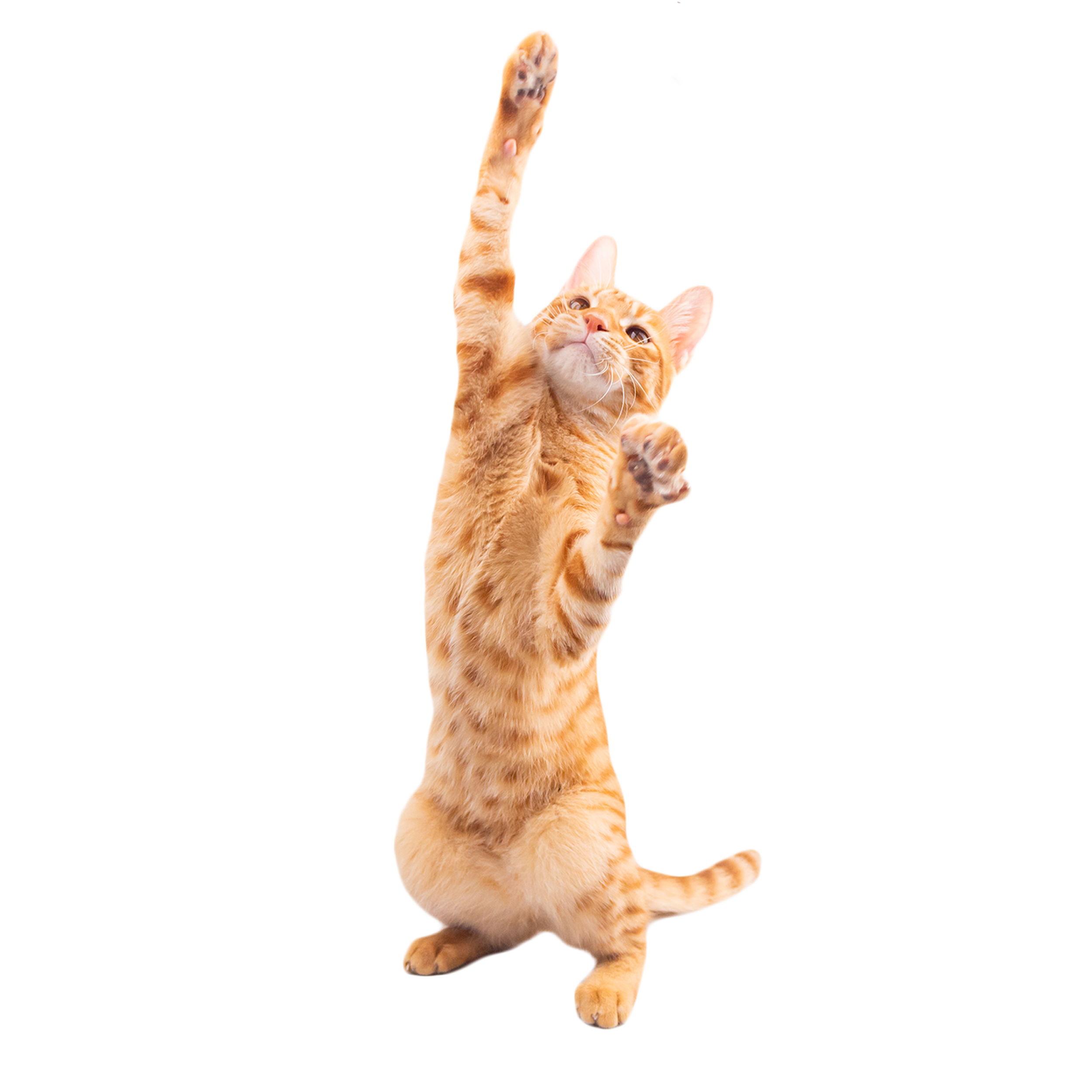 Скидка 10% на первую запись